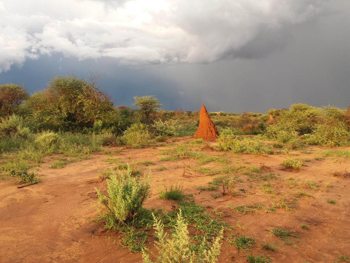 Lion'S Den Guesthouse Otjiwarongo Bagian luar foto