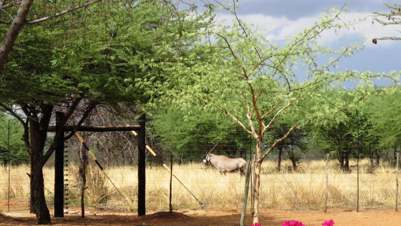 Lion'S Den Guesthouse Otjiwarongo Bagian luar foto