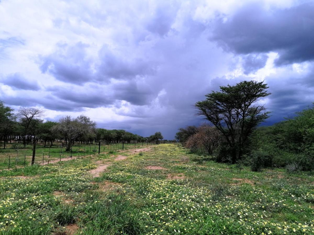 Lion'S Den Guesthouse Otjiwarongo Bagian luar foto