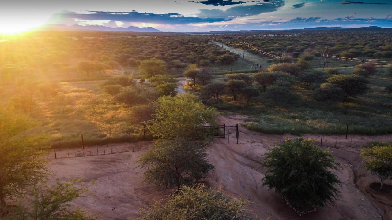 Lion'S Den Guesthouse Otjiwarongo Bagian luar foto